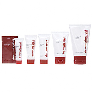 dermalogica shave system kit